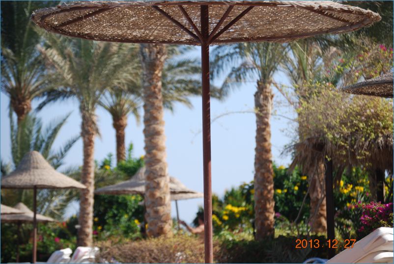 sharm 12 150